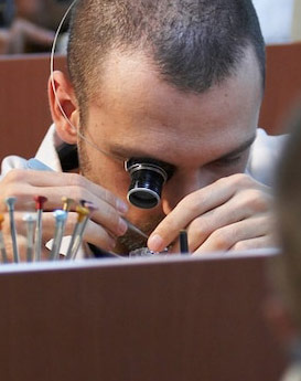 安尼塔·阿普里尔